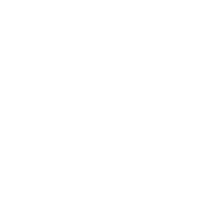 Racing Genre